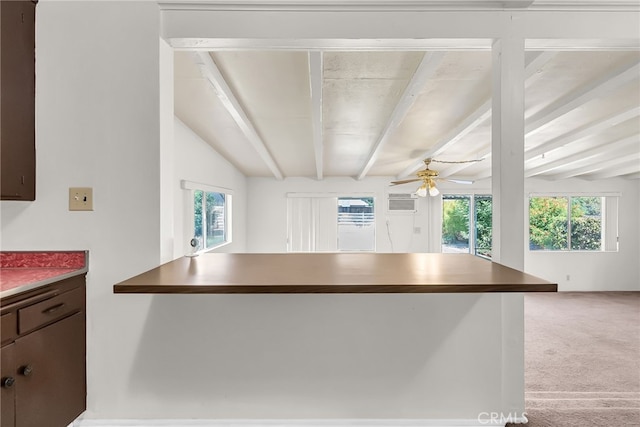 kitchen featuring light carpet, dark brown cabinets, a healthy amount of sunlight, and ceiling fan