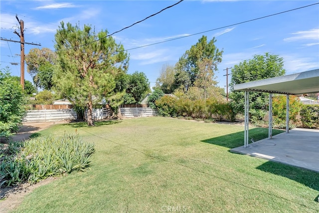 view of yard with a patio