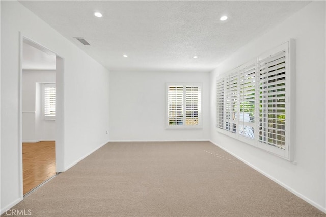 carpeted empty room with a wealth of natural light and a textured ceiling