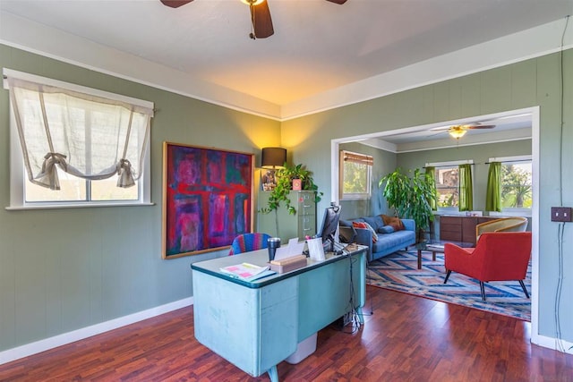 office space featuring ornamental molding, ceiling fan, and dark wood-type flooring