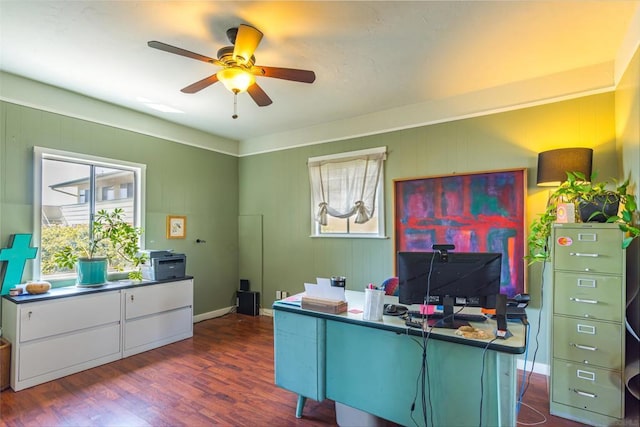 office space with dark hardwood / wood-style flooring and ceiling fan