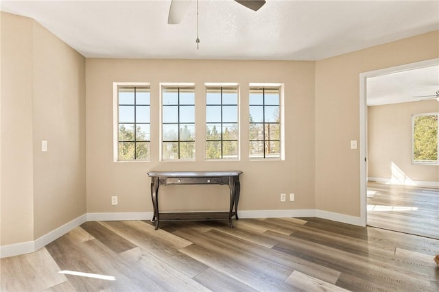 spare room with wood-type flooring and ceiling fan