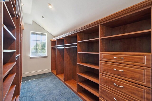 spacious closet with vaulted ceiling