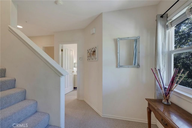 staircase with carpet flooring