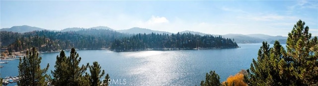 water view with a mountain view