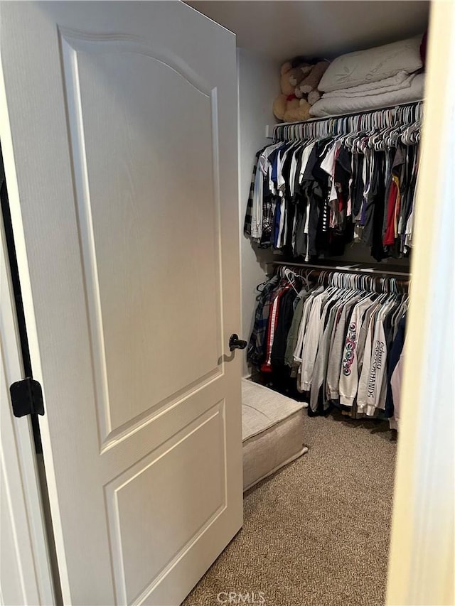 walk in closet with carpet