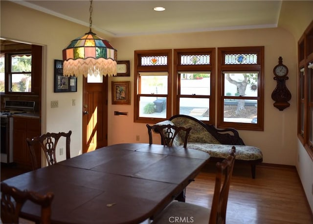 dining room featuring hardwood / wood-style floors