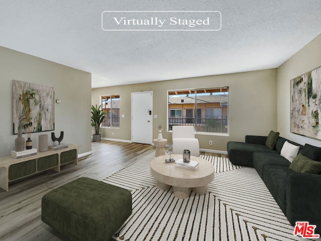 living room featuring wood-type flooring and a textured ceiling