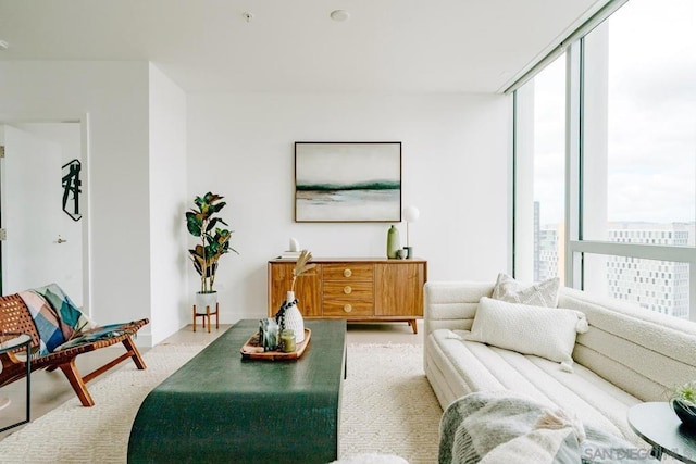 living room featuring a healthy amount of sunlight and floor to ceiling windows