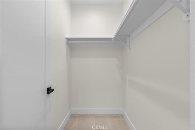 walk in closet featuring light carpet