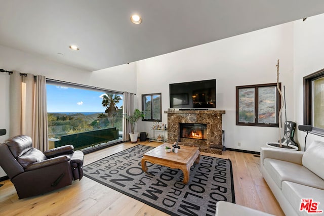 living room with light hardwood / wood-style flooring and a fireplace