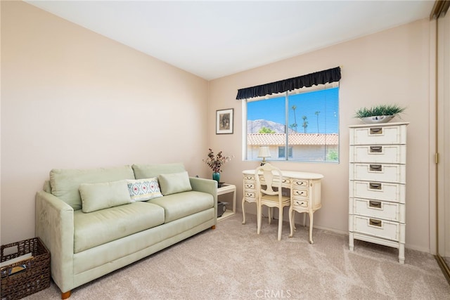 home office with light colored carpet