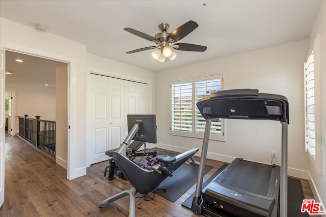 exercise room featuring ceiling fan and wood-type flooring