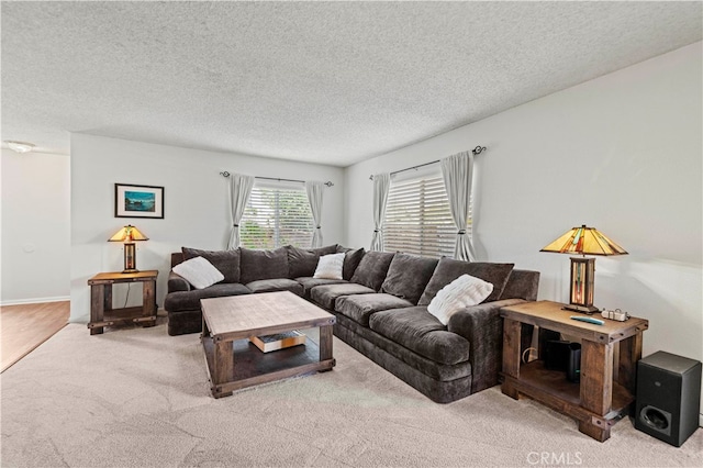 carpeted living room with a textured ceiling