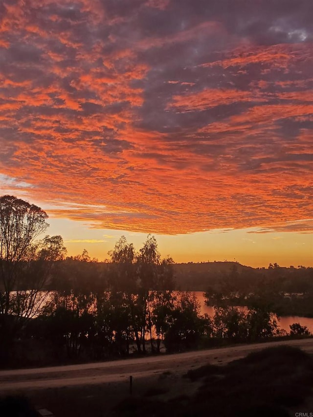 nature at dusk with a water view