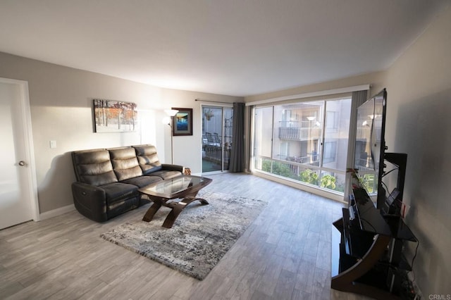 living room featuring light hardwood / wood-style floors