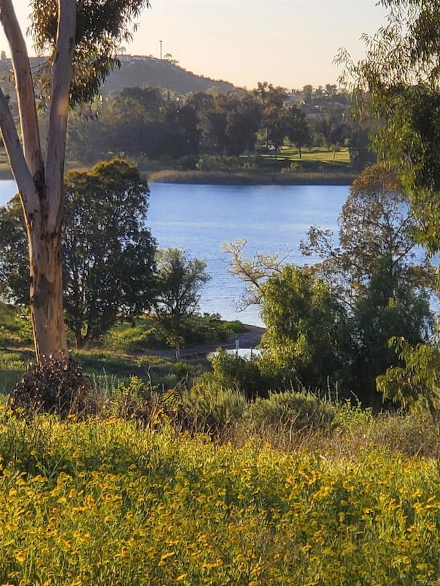 property view of water