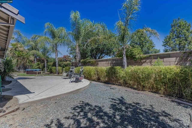 view of yard featuring a patio area