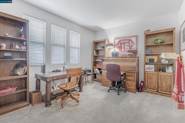 view of carpeted office