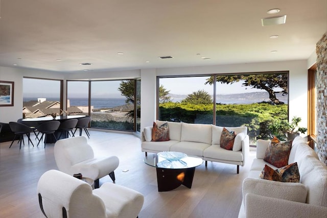 living room featuring plenty of natural light and light hardwood / wood-style flooring