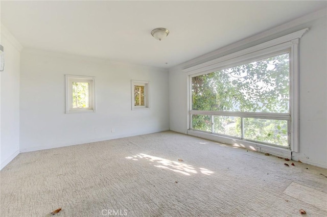 carpeted empty room with ornamental molding