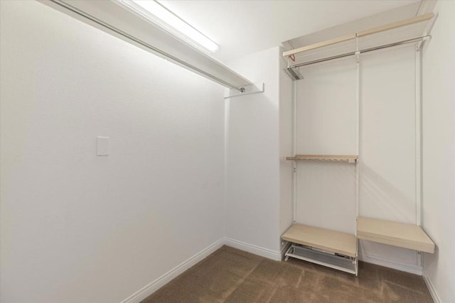 walk in closet with dark carpet