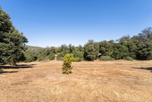 view of landscape featuring a rural view