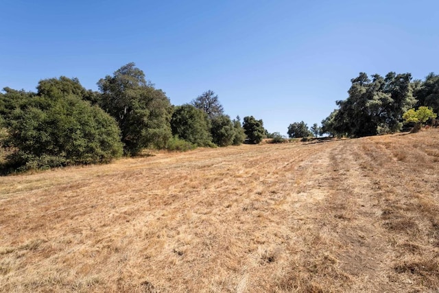 view of local wilderness with a rural view