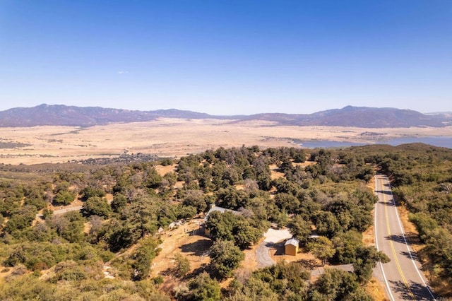 drone / aerial view featuring a mountain view