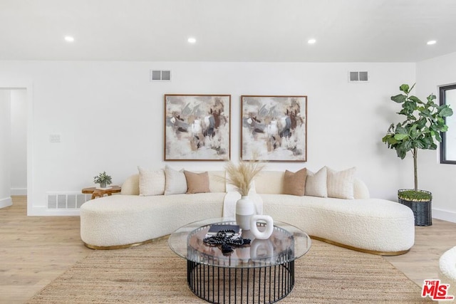 living room featuring light hardwood / wood-style flooring