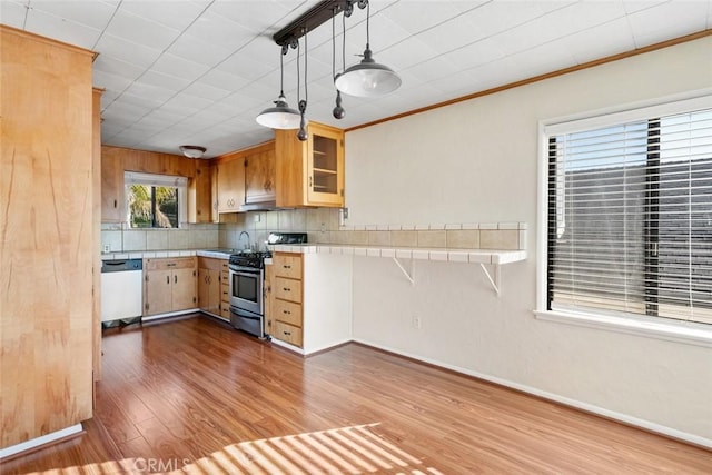 kitchen with light hardwood / wood-style flooring, appliances with stainless steel finishes, hanging light fixtures, backsplash, and tile counters