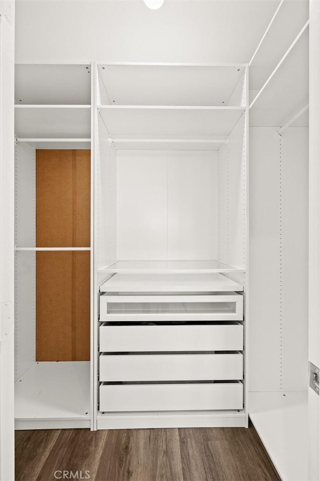 walk in closet featuring dark hardwood / wood-style flooring