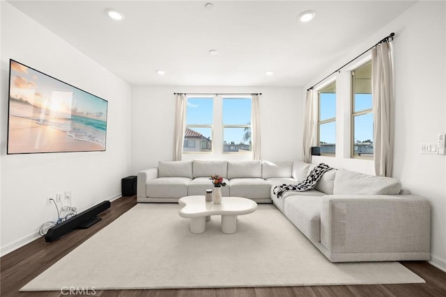 living room featuring dark hardwood / wood-style flooring