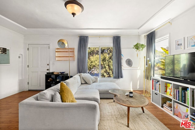 living room with wood-type flooring, ornamental molding, and a wealth of natural light