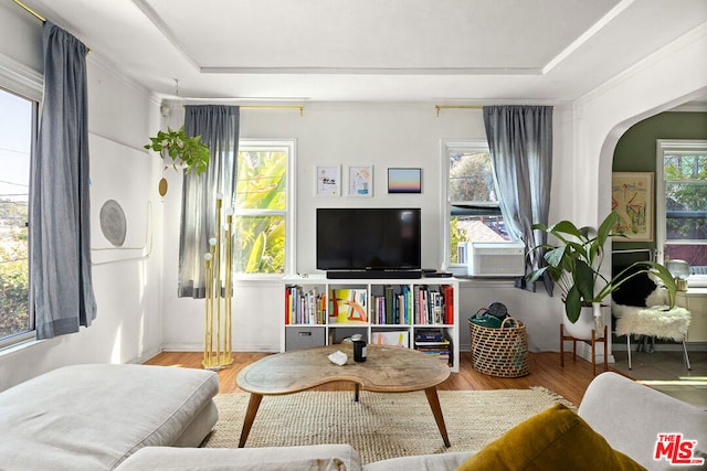 living room featuring hardwood / wood-style flooring and a wealth of natural light