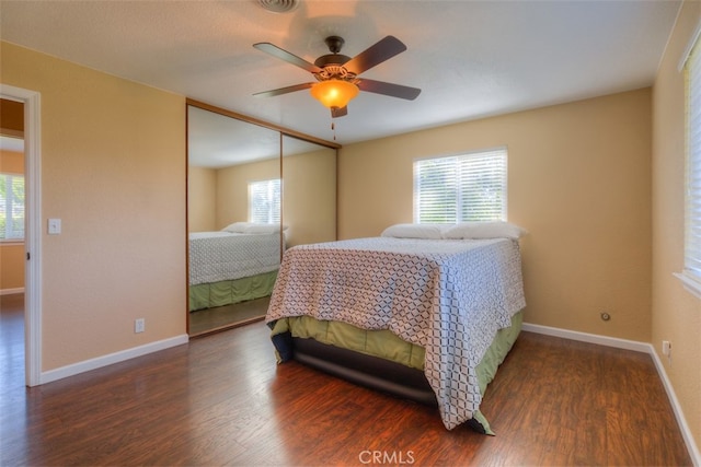 bedroom with ceiling fan, a closet, dark wood-type flooring, and multiple windows