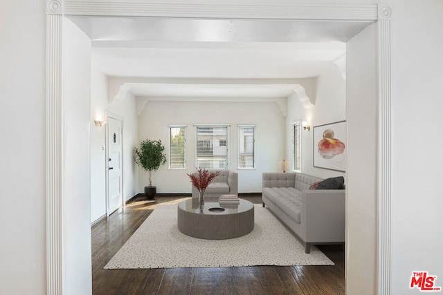 living room with dark hardwood / wood-style flooring