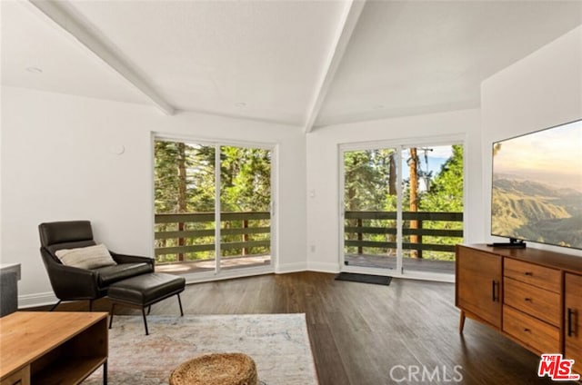 living area with beam ceiling, plenty of natural light, and dark hardwood / wood-style flooring