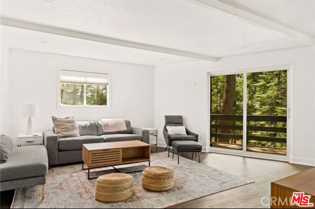 living room featuring light wood-type flooring and beamed ceiling