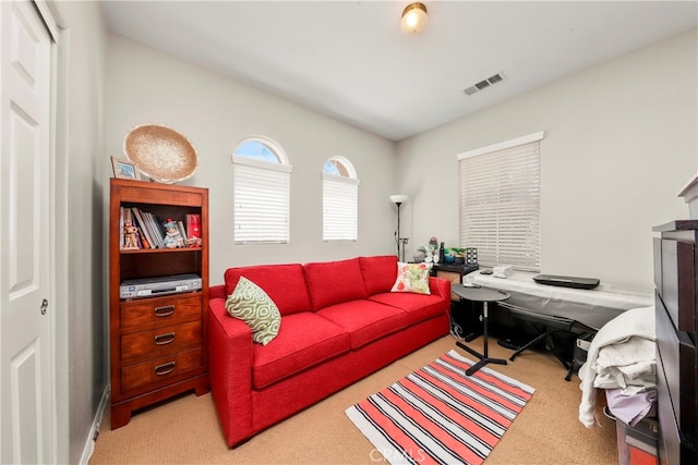 home office with light colored carpet