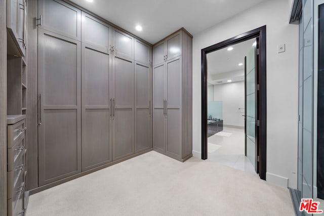 spacious closet with light carpet