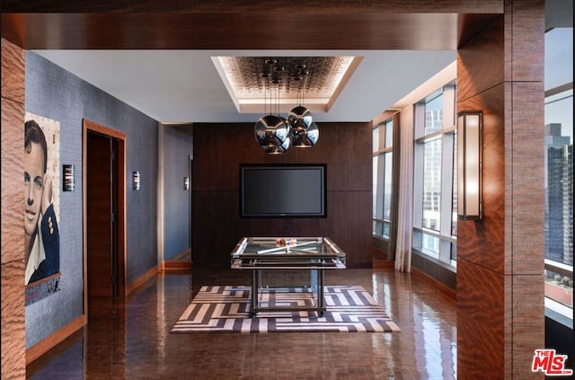 playroom featuring a raised ceiling