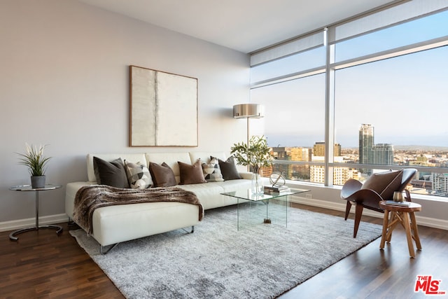 living room featuring hardwood / wood-style flooring and plenty of natural light