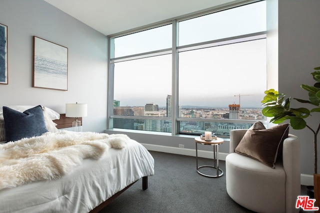 bedroom featuring carpet flooring