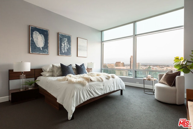 bedroom featuring dark colored carpet