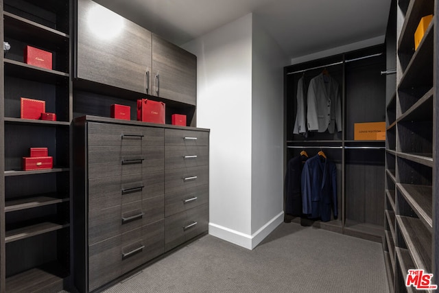 walk in closet with carpet