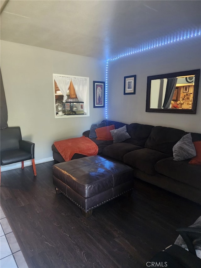 living room featuring wood-type flooring