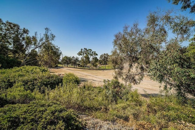 view of local wilderness featuring a rural view