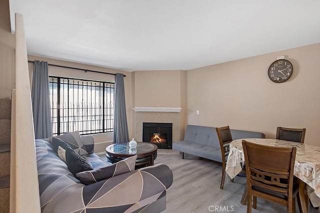 living room with a fireplace and light hardwood / wood-style flooring