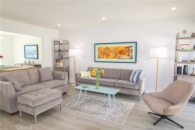 living room featuring light hardwood / wood-style flooring